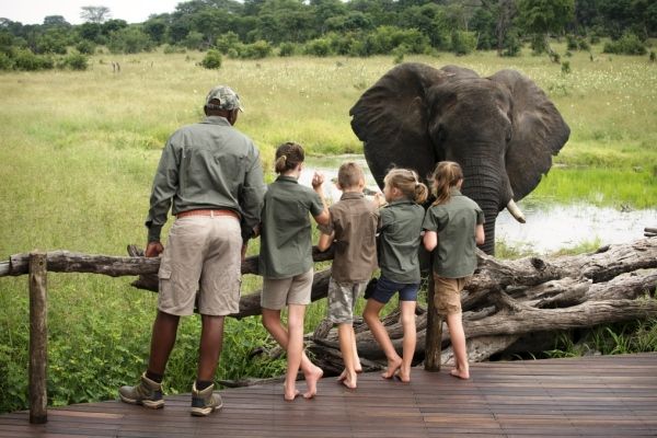 Hwange Full Day Safari Game Drive